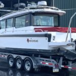 Wedge Salwater boat and custom trailer